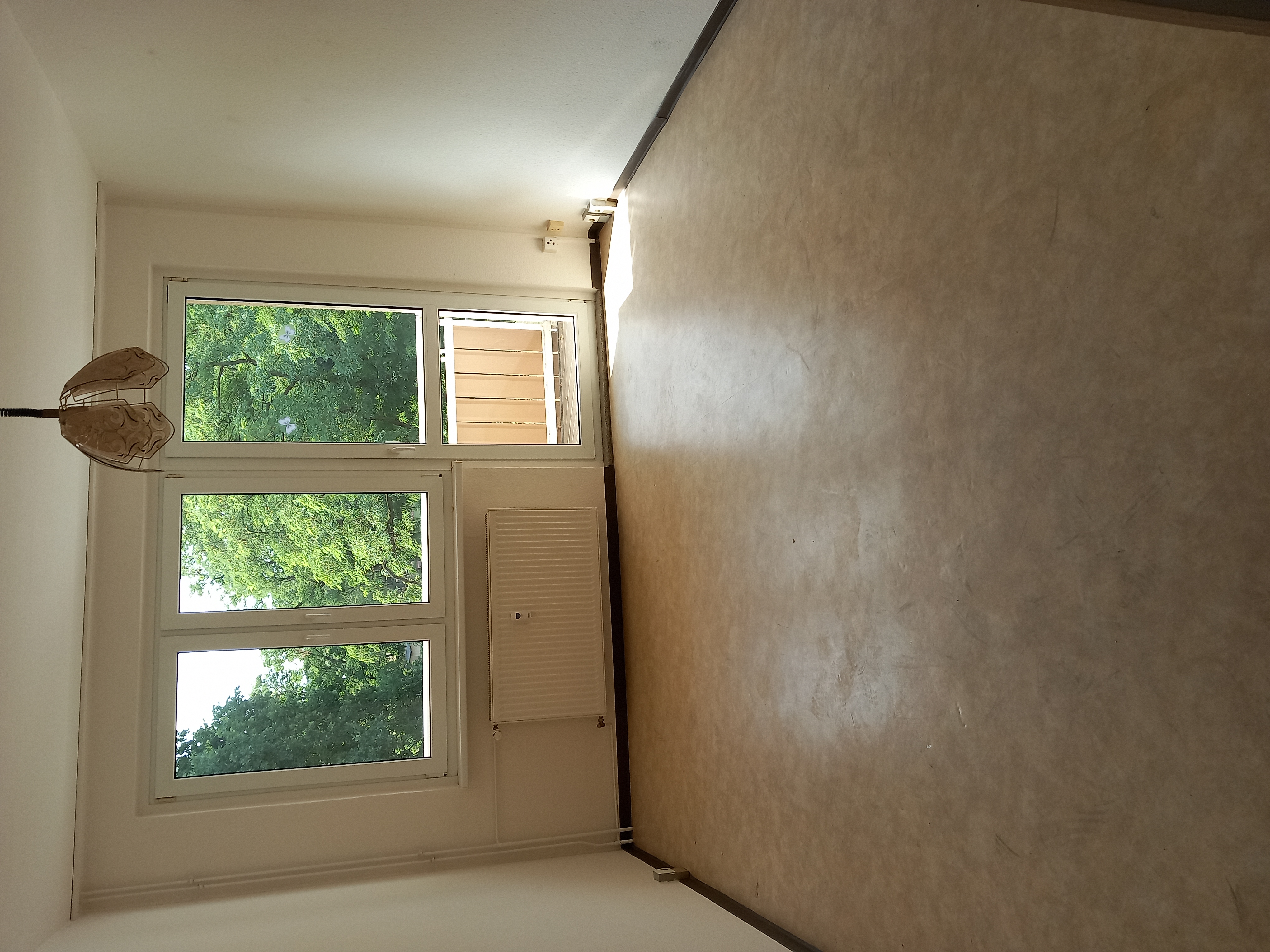 Wohn-/Schlafzimmer